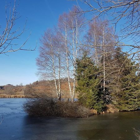 Fermette Typique Auvergnate Dans Son Ecrin D'Eau Et De Verdure Saint-Donat Екстериор снимка