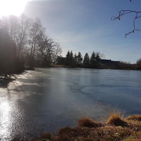 Fermette Typique Auvergnate Dans Son Ecrin D'Eau Et De Verdure Saint-Donat Екстериор снимка