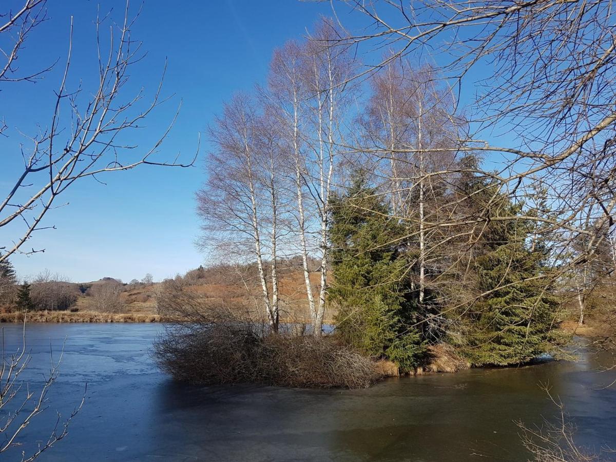 Fermette Typique Auvergnate Dans Son Ecrin D'Eau Et De Verdure Saint-Donat Екстериор снимка