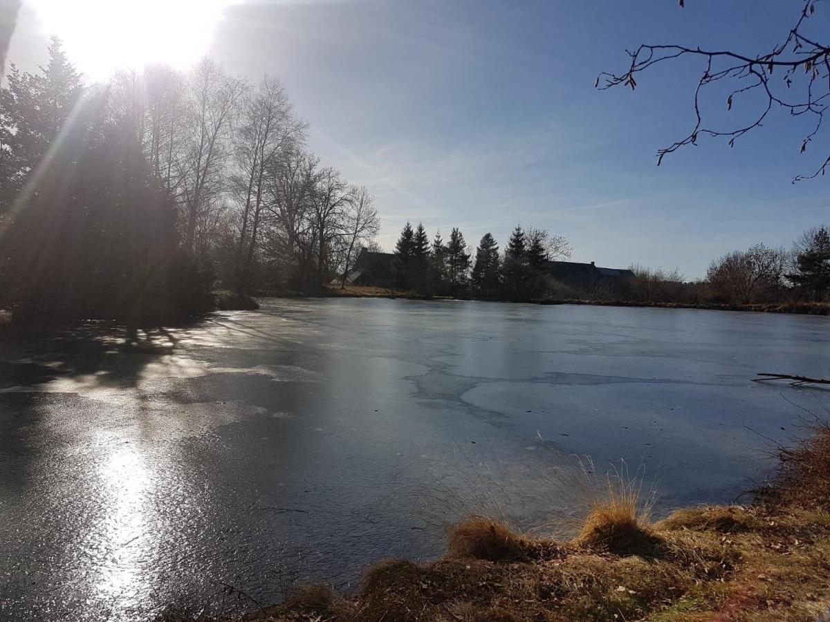 Fermette Typique Auvergnate Dans Son Ecrin D'Eau Et De Verdure Saint-Donat Екстериор снимка